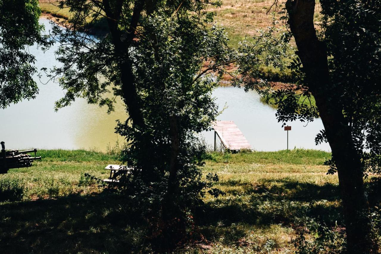 Maison De Campagne, Bord De Lac, Piscine, Billard 11 Per Plieux 외부 사진